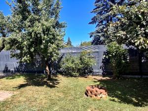 a yard with two trees and a pile of bricks at SZEDERMÁLNA Vendégház in Sárospatak