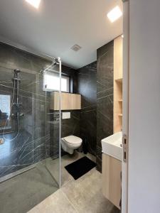 a bathroom with a shower and a toilet and a sink at Hacienda Dedinky C in Dedinky +29 photos