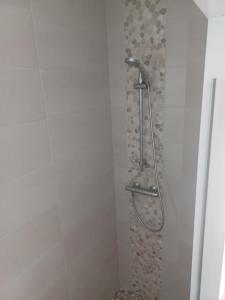 a shower with a shower head in a bathroom at La bastide de Sarda in Montélimar +4 photos