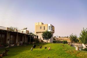 a group of animals sitting in the grass in front of a building at Farmhouse Loft Apartment at Mogador Essaouira 