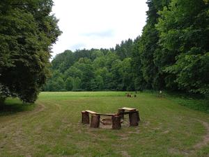 a park with a bench in the middle of a field at Tábořiště Suchovršice in Suchovršice