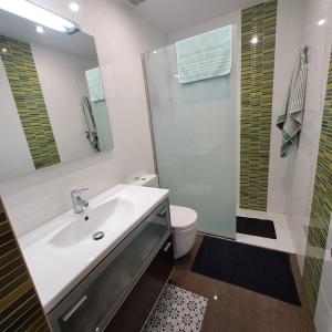 a bathroom with a sink and a shower and a toilet at Ezemil Etxea in Lumbier