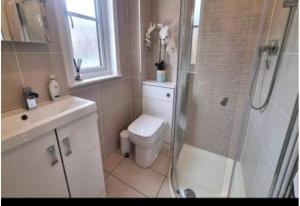 a bathroom with a shower and a toilet and a sink at 6 Carn Dearg House in Aviemore +17 photos