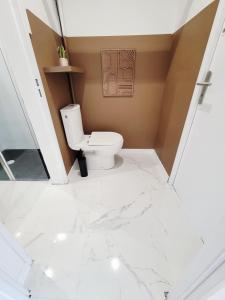 a bathroom with a white toilet in a room at Bohème Chic in Albi