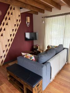 TV a/nebo společenská místnost v ubytování La Piôle du Lac