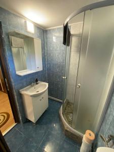 a bathroom with a shower and a sink and a toilet at Casa Rizea  +5 photos