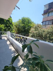 a plant in front of a railing on a bridge at Feel like home 2 in Shkodër