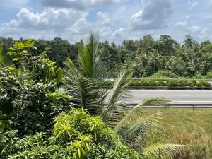 a road with a palm tree on the side of the road at Highway View Transit Kiribathgoda in Kiribathgoda