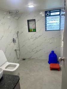 ein Bad mit einer Dusche, einem WC und einem Spiegel in der Unterkunft ShavyStays 4 bhk Prava Villa in Lonavla