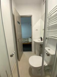 ein kleines Badezimmer mit Toilette und Waschbecken in der Unterkunft Casa Rizea in Râmnicu Vâlcea