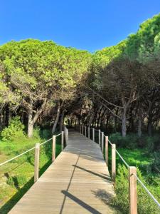 a wooden boardwalk leading into a field with trees at Apartamento "Vila Serena Marisol" in Corroios