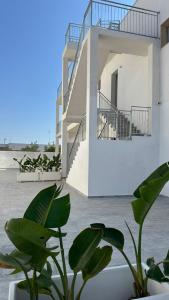 a white building with stairs and a plant at Casa Vacanza Marijò in Sant'Isidoro