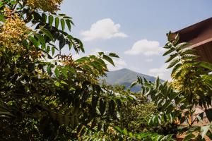 Příroda nedaleko hotelu