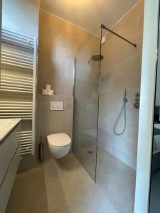 un bagno con wc e doccia in vetro di Villa la Grona a Menaggio