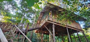a tree house in the middle of the forest at Casa del árbol - Mirador Tacana in Leticia