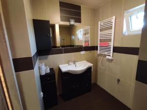 a bathroom with a sink and a mirror at Domek Letniskowy Agroturystyka Motwica 