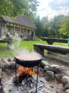 a bbq grill on top of a pile of rocks at Sodyba Voverynė 