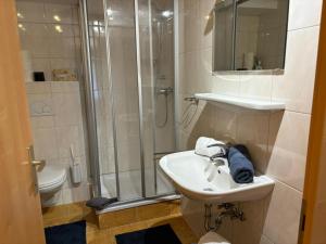 a bathroom with a sink and a shower at Appartement Unterstein 1 in Niedernsill +9 photos