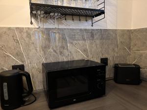 a microwave oven sitting on top of a counter at Ferienwohnung Naturkraft mit Tiefgaragenstellplatz und Balkon in Oberhof