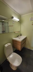 a bathroom with a white toilet and a sink at Marias Guesthouse in Tromsø
