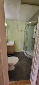 a bathroom with a shower and a toilet and a sink at Marias Guesthouse in Tromsø