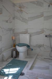 a bathroom with a toilet and a bath tub at Casabella in Arkadádes