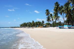 una spiaggia sabbiosa con palme e l'oceano di Alass Ga For Pets Lovers a Trincomalee