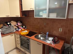 a kitchen with a sink and stuffed animals on the counter at Stan na dan Dami in Sarajevo