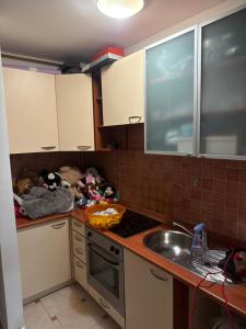 a kitchen with a sink and a counter with stuffed animals at Stan na dan Dami in Sarajevo