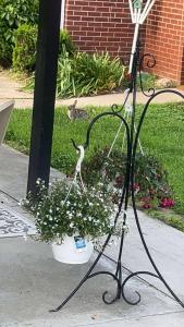 a plant stand with a flower pot on the sidewalk at Sonnys place in Washington