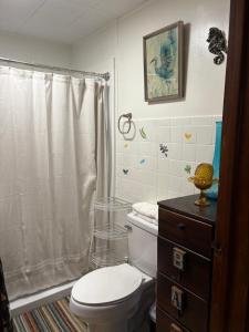 a bathroom with a toilet and a shower at Sonnys place in Washington +62 photos