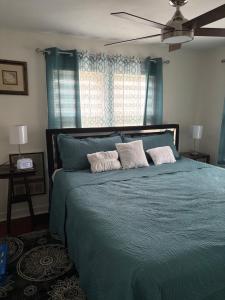 a bedroom with a blue bed with two pillows at Sonnys place in Washington