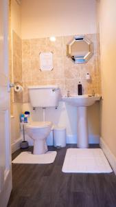a bathroom with a toilet and a sink at Cozy Central Apartment in Inverness