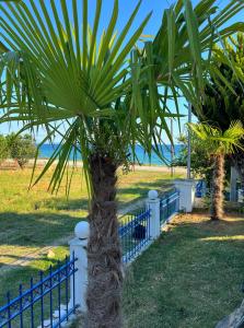 Κήπος έξω από το SeaView Villa Kariani