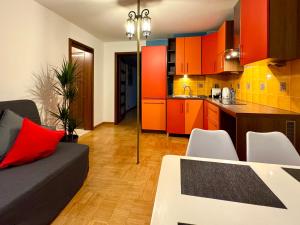 Η κουζίνα ή μικρή κουζίνα στο Apartament Kochanowskiego Łódź