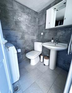 a bathroom with a toilet and a sink at SeaView Villa Kariani in Ofrínion +20 photos