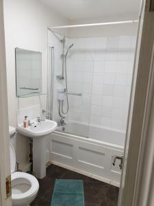 ダブリンにあるLuxury Custom Hall City Apartmentのシャワー、トイレ、洗面台を備えたバスルーム