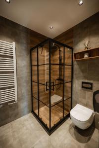 a bathroom with a shower with a toilet in it at Apartman Boutique Arandjelovac in Arandjelovac +38 photos