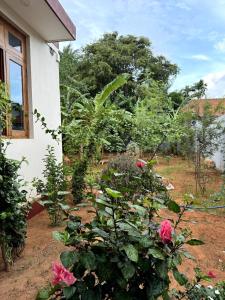 un giardino con rose rosa di fronte a una casa di New 3-Bedroom House in Jaffna near Nallur Kovil a Jaffna