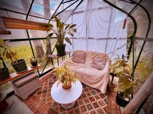 a room with a couch in a greenhouse with plants at Le petit coin de Paradis in Brissac