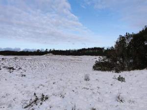 Afbeelding uit fotogalerij van 5 person holiday home in Ålbæk-By Traum in Ålbæk