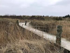 Afbeelding uit fotogalerij van 5 person holiday home in Ålbæk-By Traum in Ålbæk +35 foto's