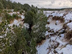 Afbeelding uit fotogalerij van 5 person holiday home in Ålbæk-By Traum in Ålbæk
