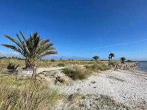 Naturlandskabet i nærheden af feriehuset