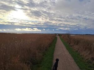 Fotografie z fotogalerie ubytování 2 person holiday home in Ringkøbing v destinaci Ringkobing