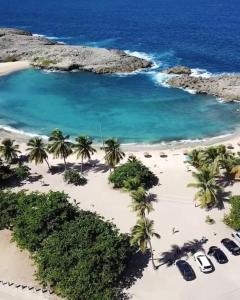 an aerial view of a beach with palm trees and water at Ventana Va201 at Arecibo 681 Arecibo Ocean Drive in Arecibo
