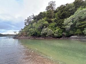 Příroda nedaleko prázdninového domu + 10 fotografií