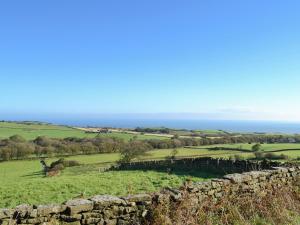 Příroda nedaleko prázdninového domu