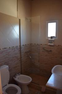 a bathroom with a shower and a toilet and a sink at Apart-Maragato in Patagones