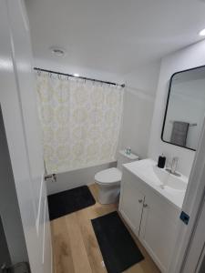 a bathroom with a toilet and a sink and a mirror at Entire Basement Suite in Bonavista in Winnipeg